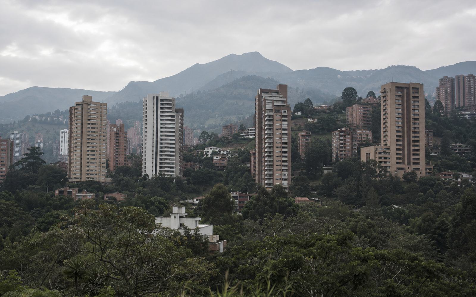 Brick residential towers on a forested hillside with the valley ridgeline behind.